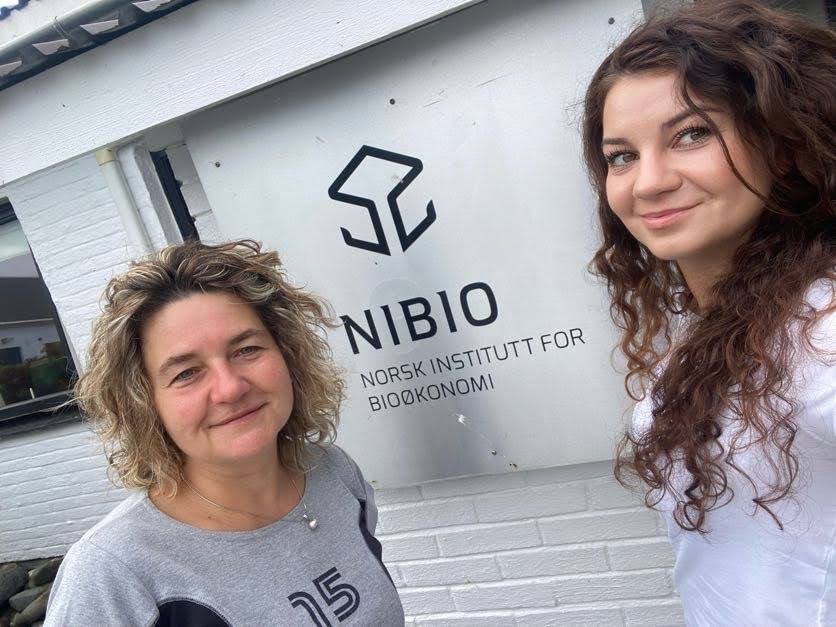 Scientific internship in NIBIO Særheim